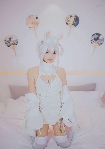 星辰视频在线观看高清免费