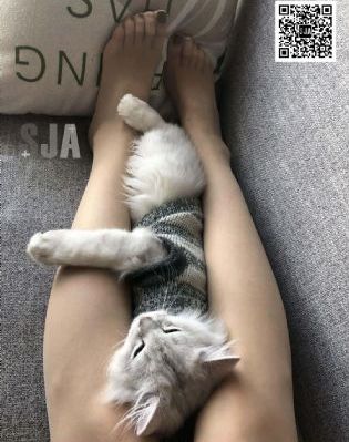 在线蜜桃