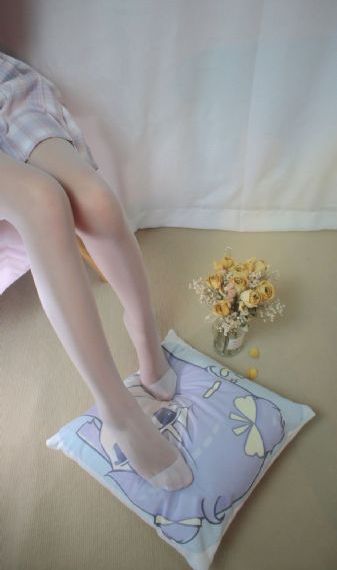 2024新杨门女将电视剧